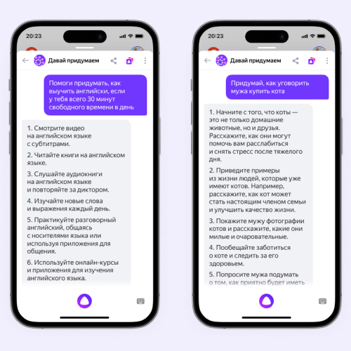 Пример запроса в приложении Алиса