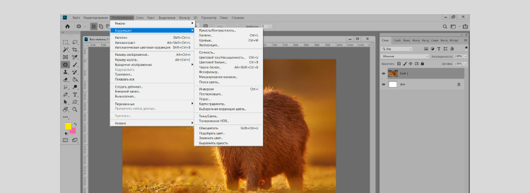 Настраиваемые инструменты коррекции цвета в Photoshop