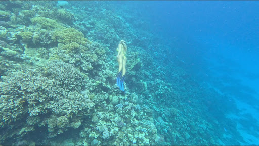 Фотография девушки под водой